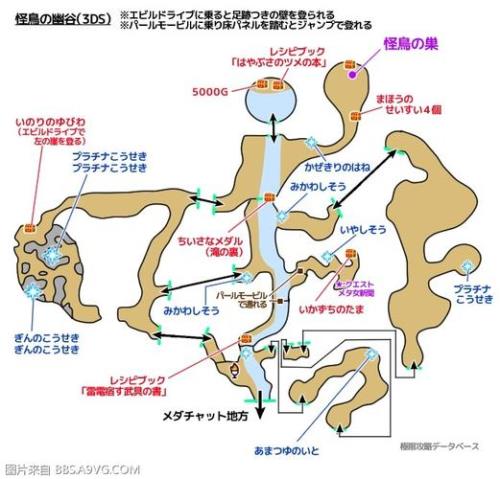 勇者斗恶龙11西尔维亚怎么加点