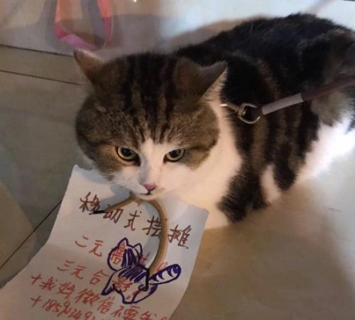 笑破他人口使碎自家心的意思