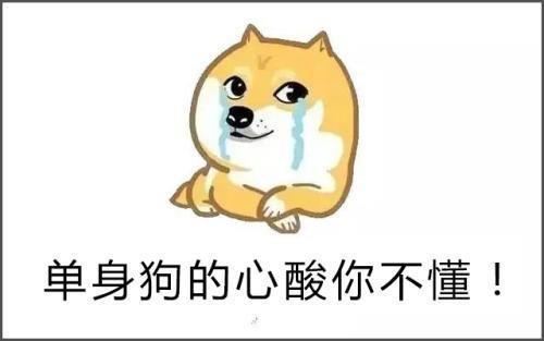 为什么要陪我单身怎么回复