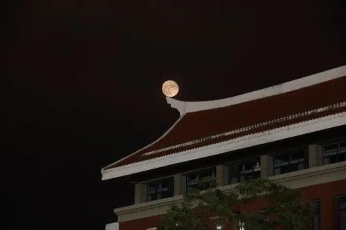 月色如昼的意思