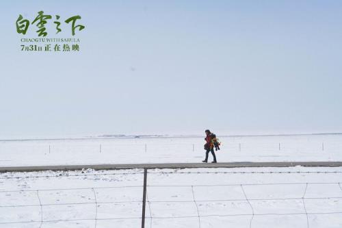 白云之下电影深度解析