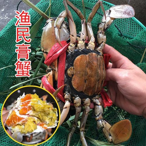 油蠓和青蟹区别