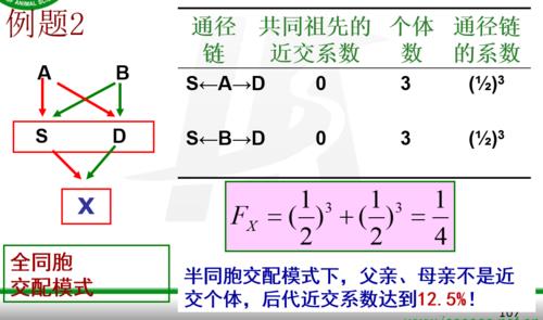 基因亲缘系数如何计算的