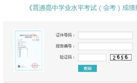 初中成绩查询上什么网