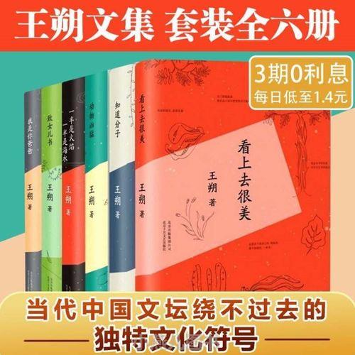 王朔的书推荐几本