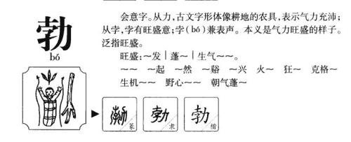 匈的组词