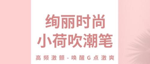 支付宝里小荷支付是啥意思