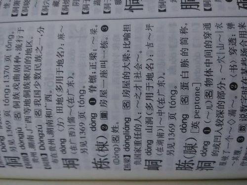 自可以可以组什么词