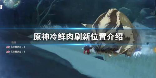 原神动物跑了多久刷新