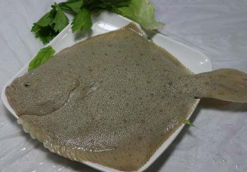 多宝鱼要腌多长时间