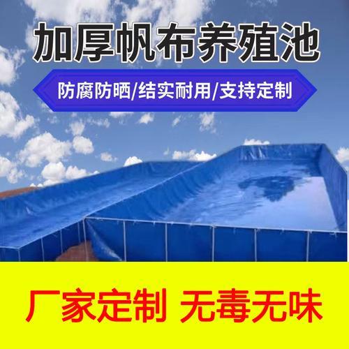 帆布池养甲鱼会不会咬坏