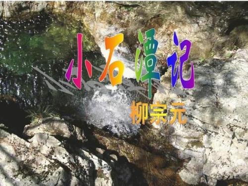 小石潭记中皆的意思