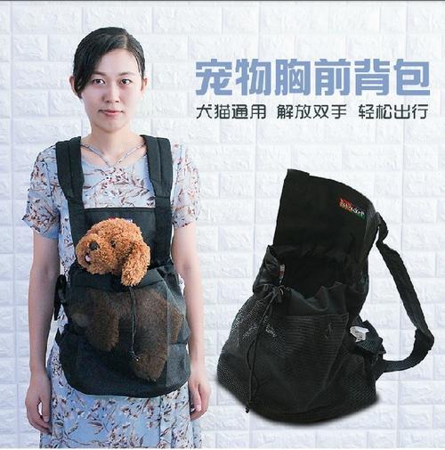 背包背猫出门怎么大小便