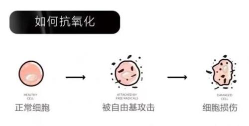 负氧化态是什么意思