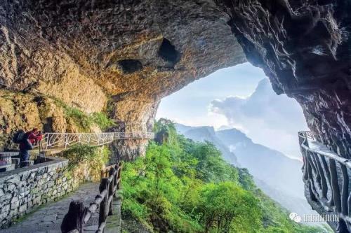 金佛山和仙女山哪个好玩