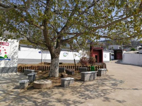 寺面镇未来发展