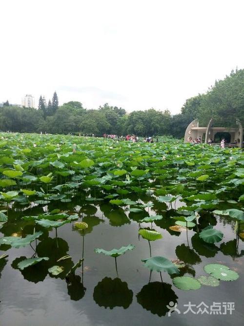 洪湖公园为什么叫洪湖公园