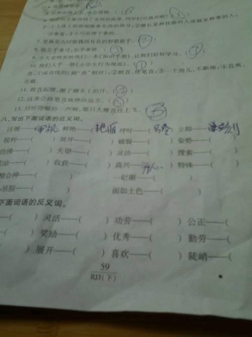 陈列的近义词是什么
