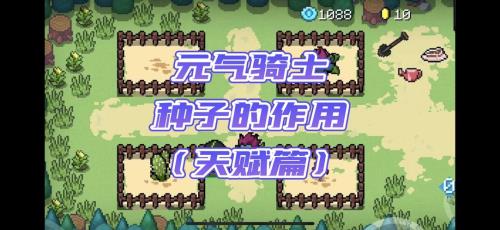 元气骑士竹子种子有什么用