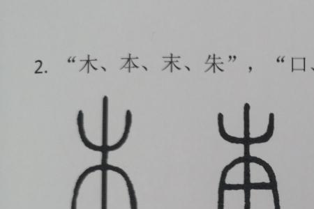 指示字类型举例说明