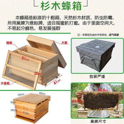 新蜂箱来蜂后什么时候放巢础
