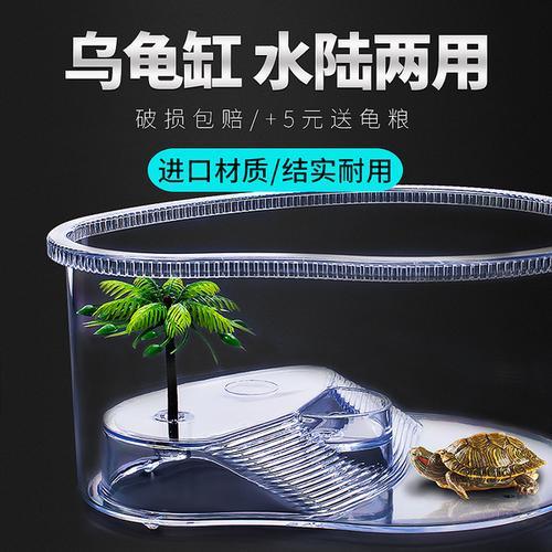 60厘米缸养几只龟