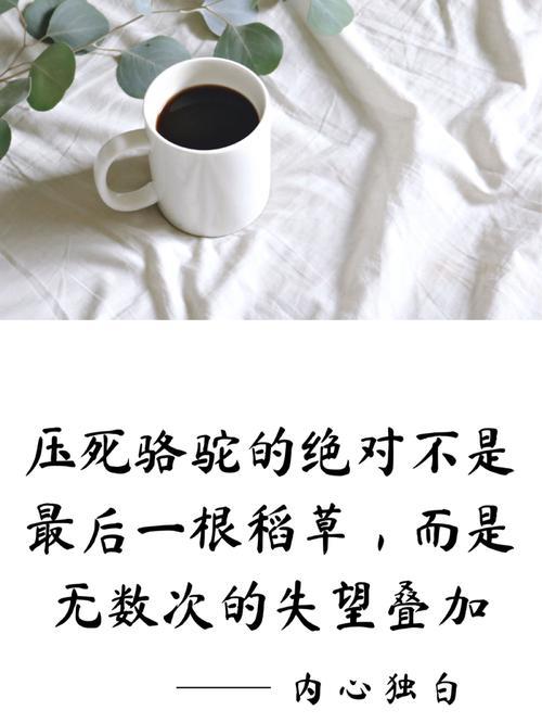 压死骆驼的文案短句