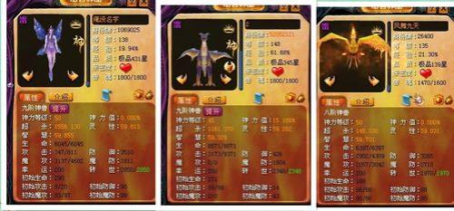 魔域战士怎么搭配宝宝比较好