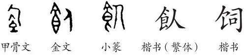 环饲的饲是错别字吗