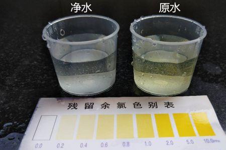 自来水中有净化的粪水吗