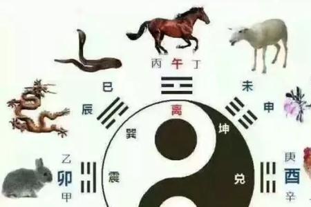 相冲是什么意思