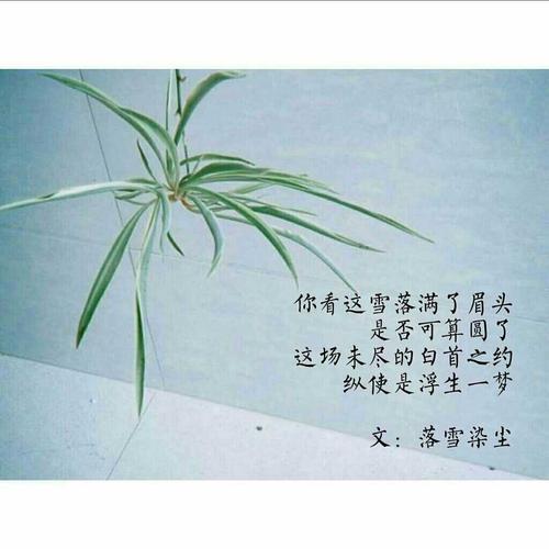 不知所畏是什麽意思