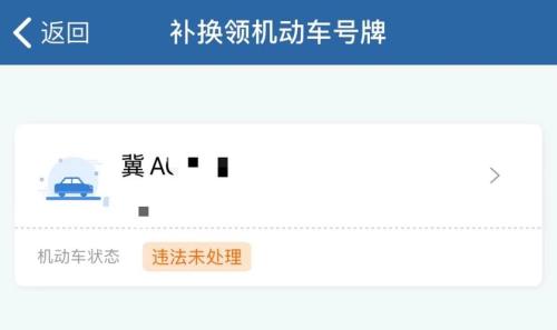 电动车牌照12123可以看吗