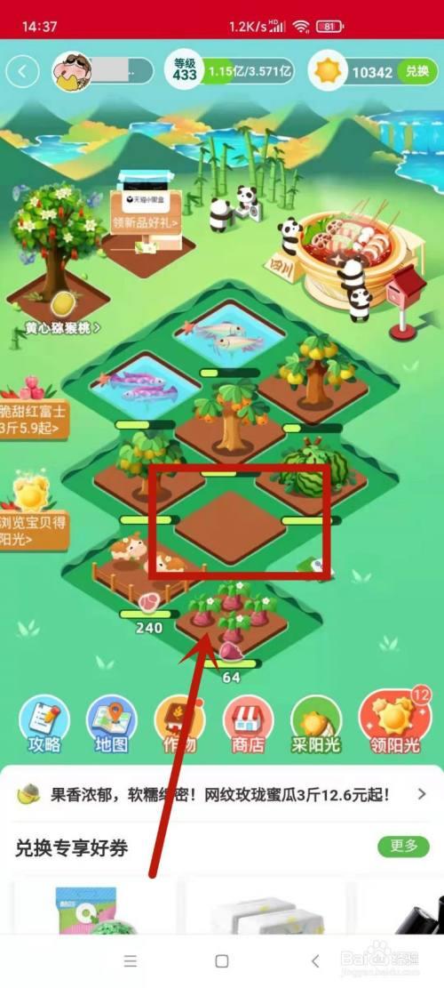 芭芭农场怎么取消种植水果