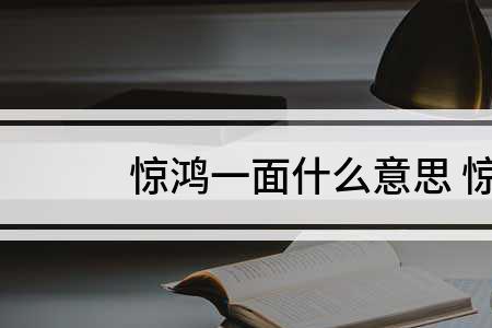 惊鸿一艳是什么意思