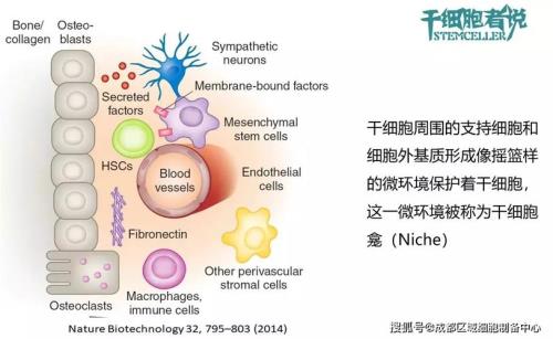 pbrdrv分区是干什么的