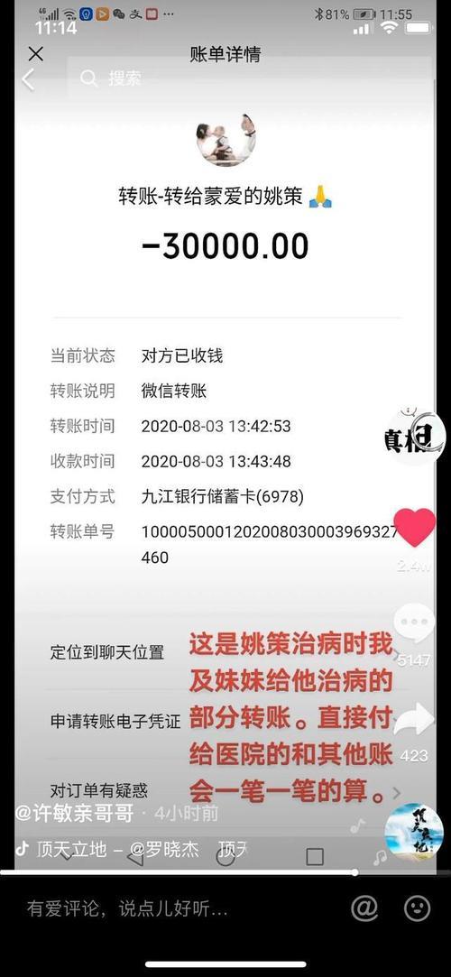 对公账户如何查转账记录