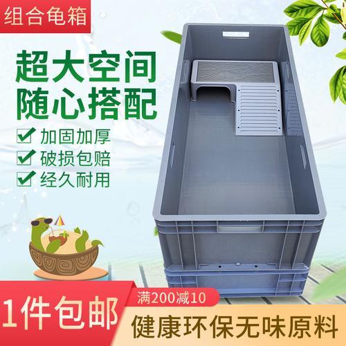 一个周转箱养几只龟