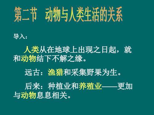 人类影响动物生活的事例