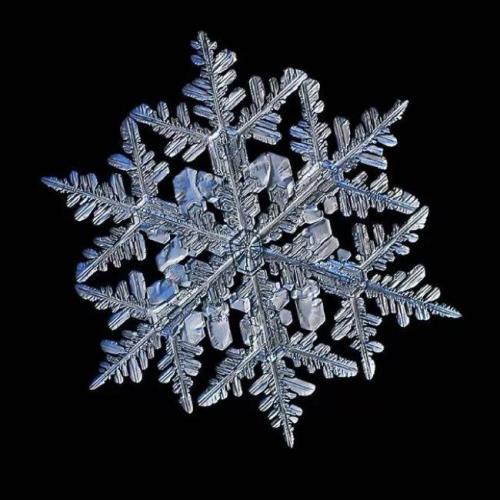 雪花的形容词有哪些