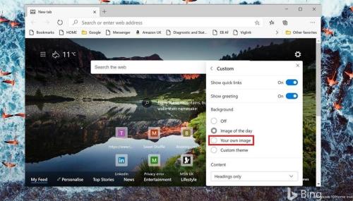 win10浏览器无法加载pdf