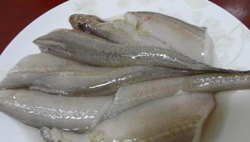 麻丁鱼是什么鱼