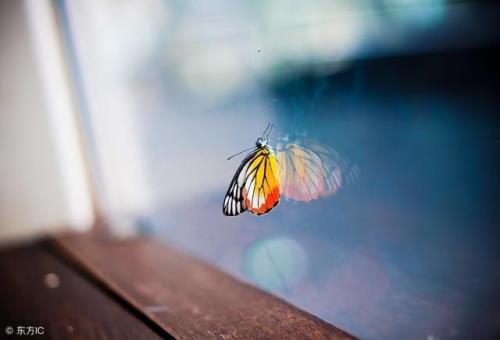 小小的素笺，诉说着人生百味