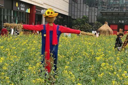 稻革人包着眼睛什么意思
