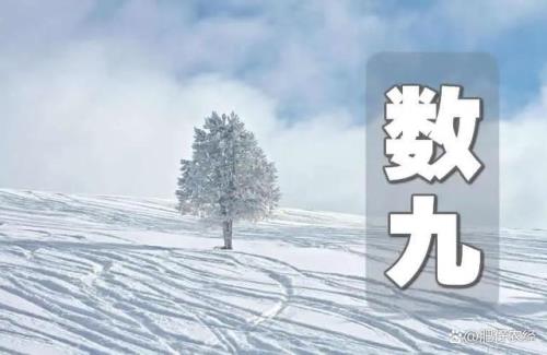 今年的数九是从哪天数起