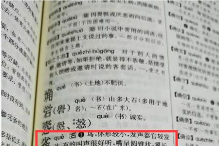 琪为什么字典查不到