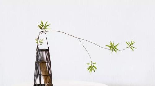 揣着糊涂装明白是成语吗