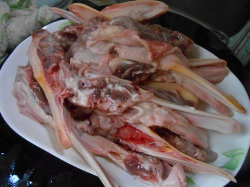 红头鸭如何烧