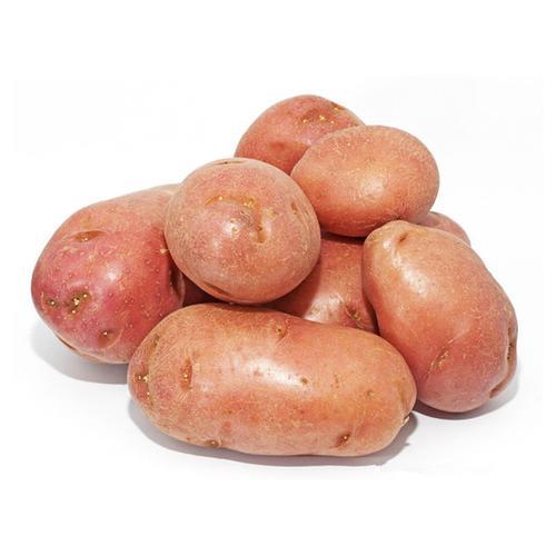 土豆300g是多少个
