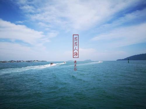 后来你消失在茫茫人海谁写的